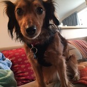 User avatar for Eileen Westwig