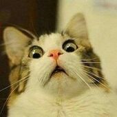 User avatar for Benjamin Jewell