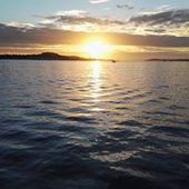 User avatar for Bernard O'Leary