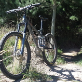 User avatar for Mark Murray