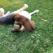 User avatar for Cynthia Pugh