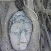 User avatar for Angela Soutar