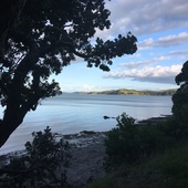 User avatar for Angela Coward