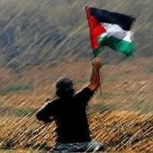 User avatar for Paolo De Regibus