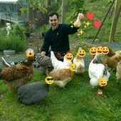 User avatar for John Madden