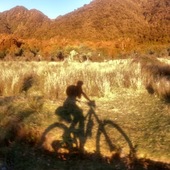 User avatar for James Green