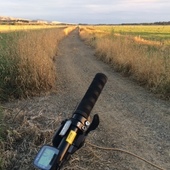 User avatar for Chris Ellis