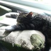 User avatar for Victoria Pinarello