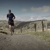 User avatar for Stewart Guild