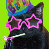 User avatar for Ben Hong Goo