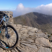 User avatar for Stephen Millns