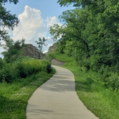 User avatar for Lisa Martinson