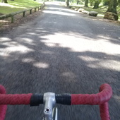 User avatar for Chantal Hefti