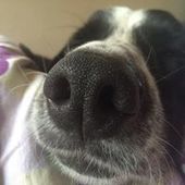 User avatar for Belle Phelon