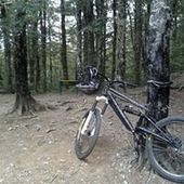 User avatar for Craig Meikle