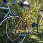 User avatar for Alister Kitchen