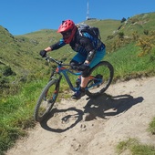 User avatar for Ginni Orr