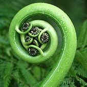 User avatar for Derrell Walker