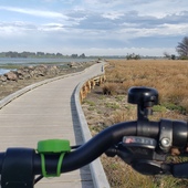 User avatar for Netty Bolton