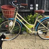 User avatar for Beck Eleven