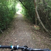 User avatar for Richard Malloch