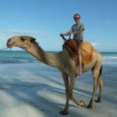 User avatar for Matt Ling