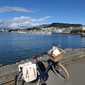 User avatar for Erica Mangin