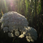 User avatar for Andrew Bishop