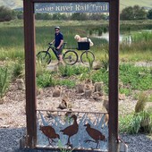 User avatar for Heather Phillips