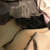 User avatar for Belinda Wylie