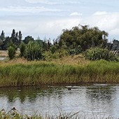 User avatar for Philippe Gerbeaux