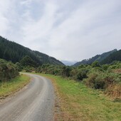 User avatar for Aubrey Flanagan