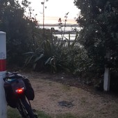 User avatar for Liarnn Harris