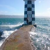 User avatar for Tara Black