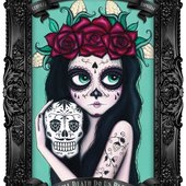 User avatar for Steve Fargher