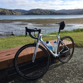 User avatar for Oli Tuiavii