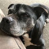 User avatar for Bridget Sutherland