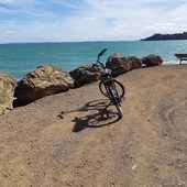 User avatar for Jackie Bourne