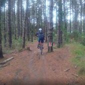 User avatar for A. Anderson