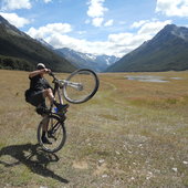 User avatar for Adrian Cunningham