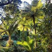 User avatar for Ashlee Peeters