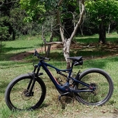 User avatar for Karen Morton