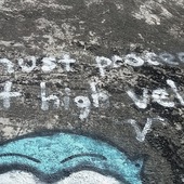 User avatar for Lesley Hanes