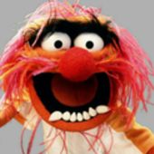 User avatar for Shane Pointon