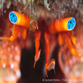 User avatar for Will Smart