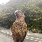 User avatar for Graham Wallace