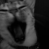 User avatar for Anita Johnson