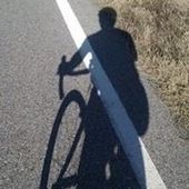 User avatar for Joel Reese