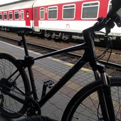 User avatar for Tom Carvalho