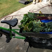 User avatar for Anja O'Connor